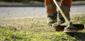 string trimmer